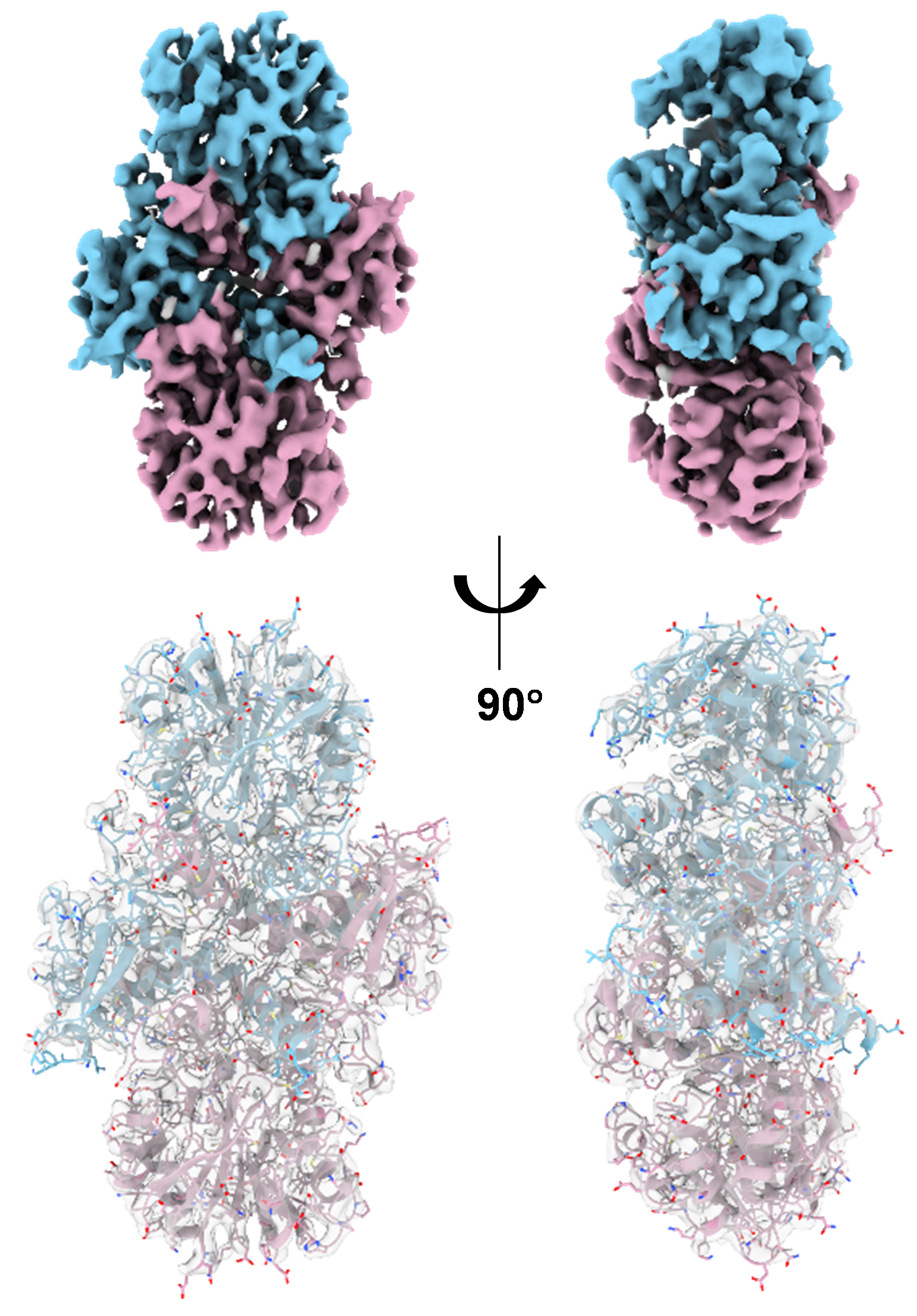 deb1d7adc7374c7d947cbc6ac1234993.png