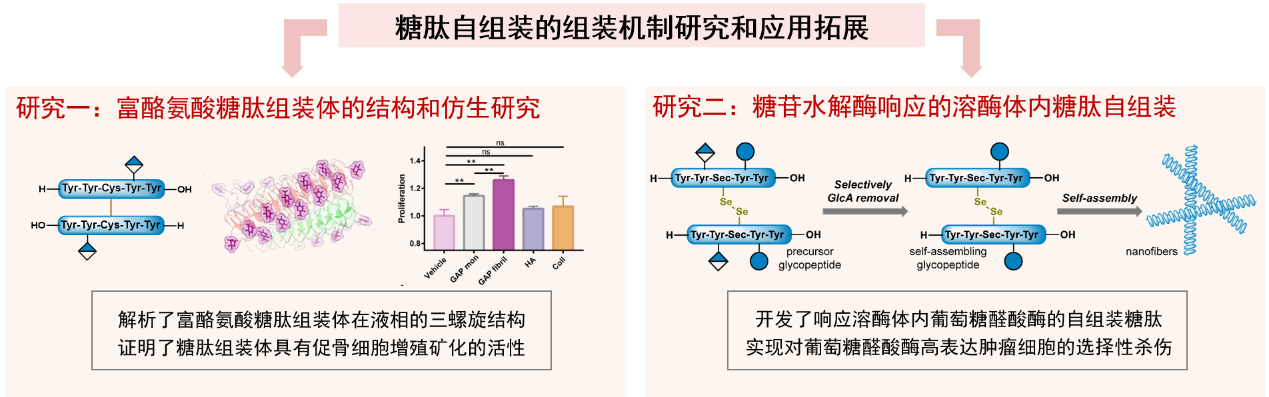 76c2ebec850e444f9fa3836345a3d060.png
