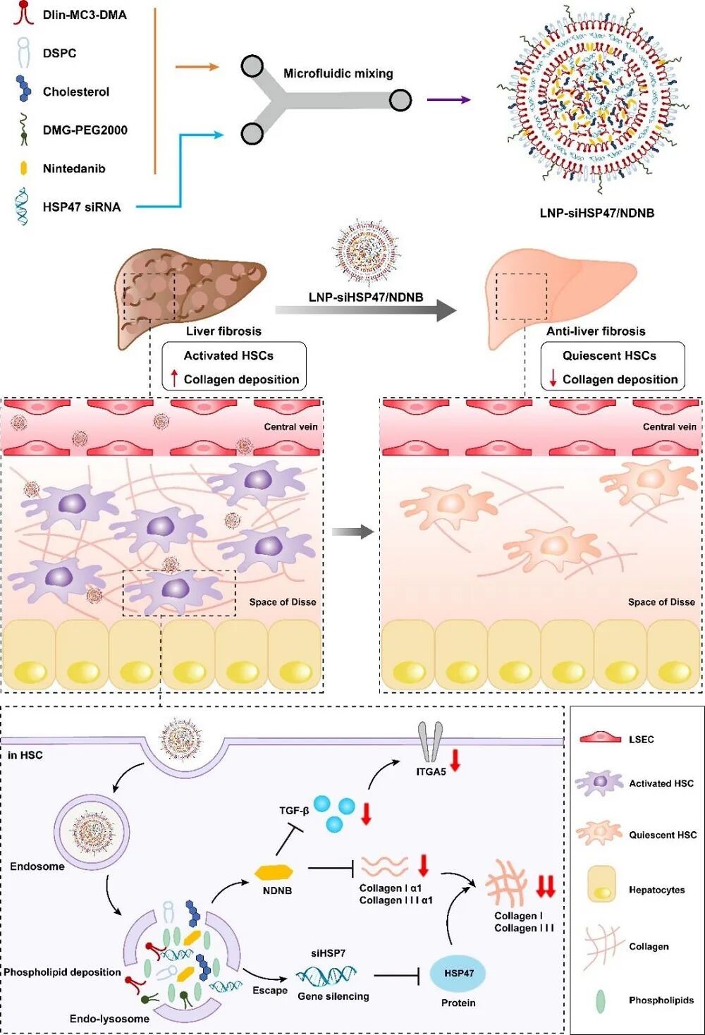 1f46968973b14c60a3a28c4253b62ad9.jpg 1f46968973b14c60a3a28c4253b62ad9.jpg