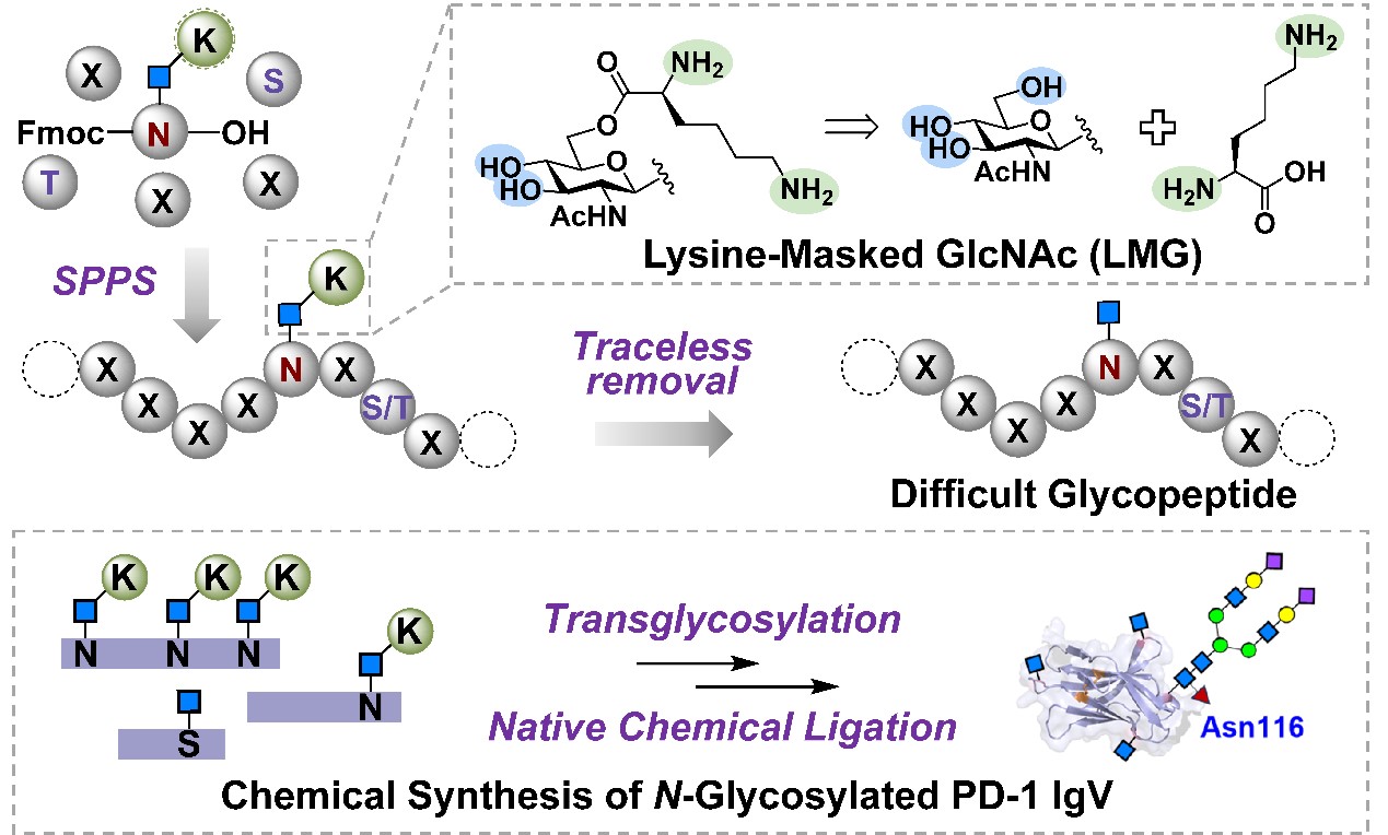 27b6514e4a8748c98a113b1f400e784b.jpg 27b6514e4a8748c98a113b1f400e784b.jpg