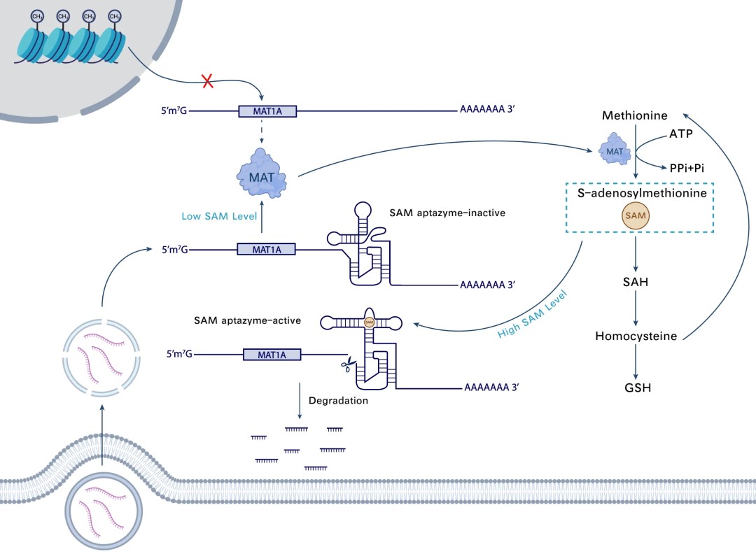 f65133787b8b4d5988b4d20a30a67f78.jpg f65133787b8b4d5988b4d20a30a67f78.jpg