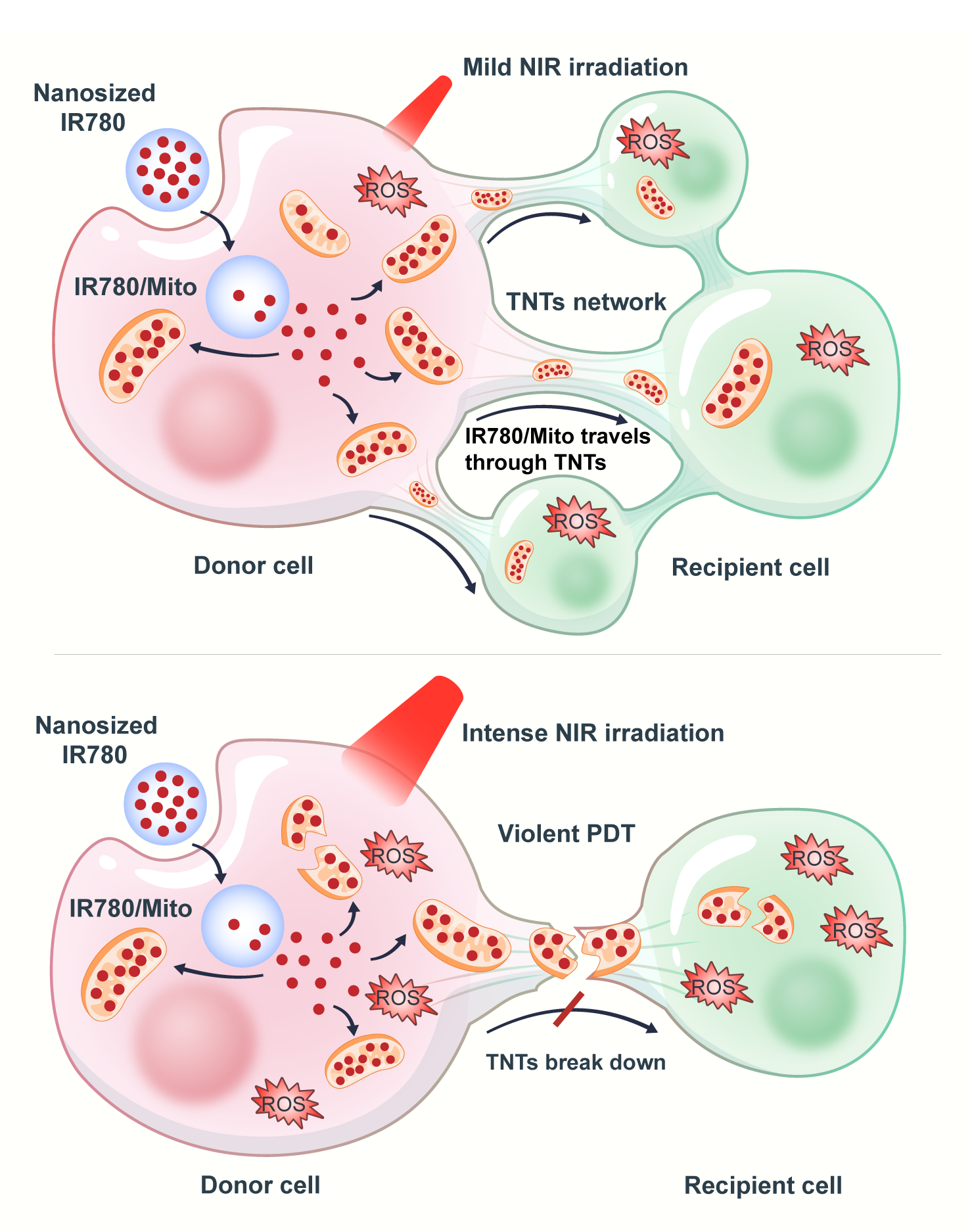 4c5eb78327994759b276f168e30dddde.png 4c5eb78327994759b276f168e30dddde.png