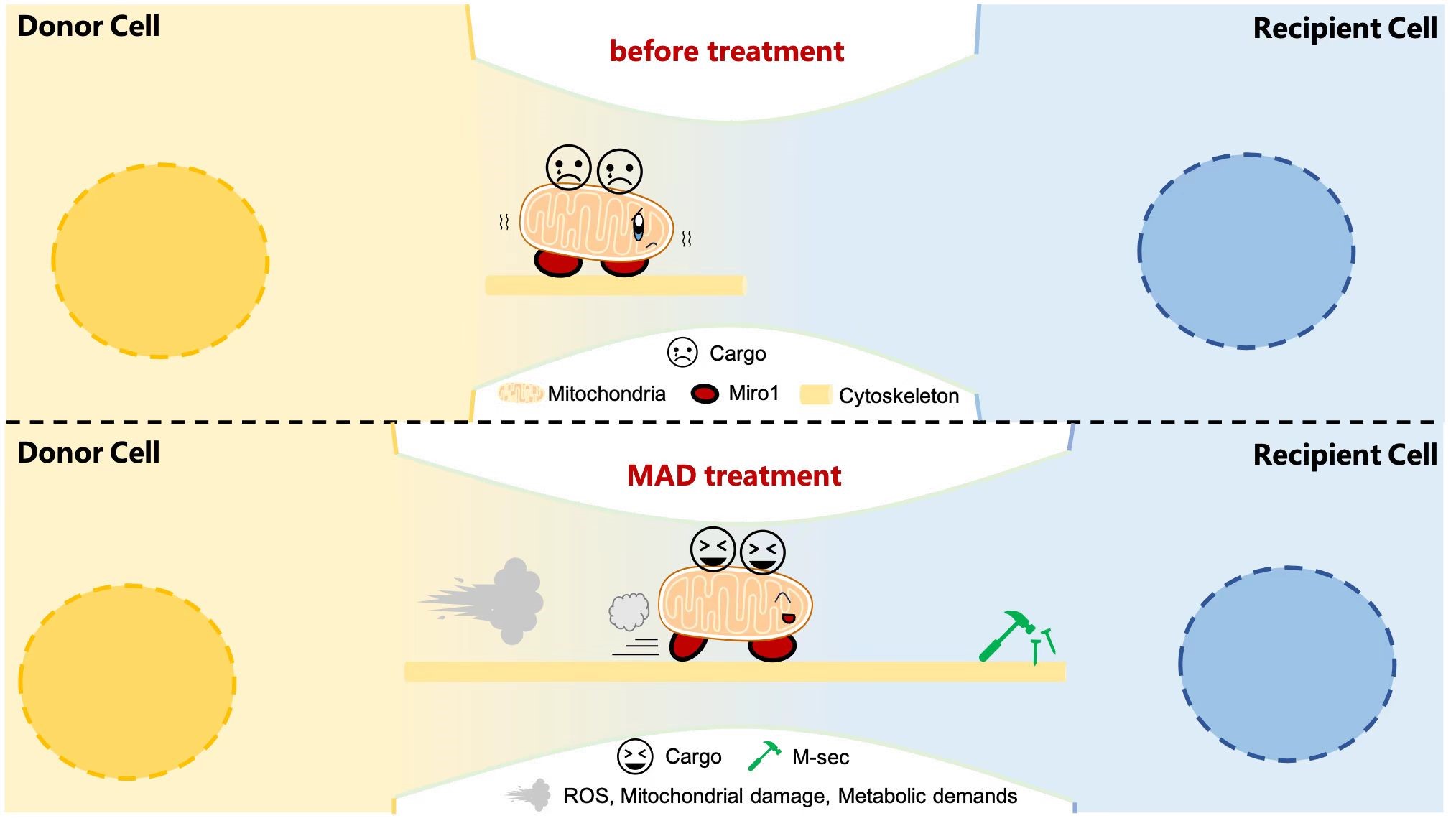 5ccfe80a581247f194247e9d6e5d1db3.jpg 5ccfe80a581247f194247e9d6e5d1db3.jpg