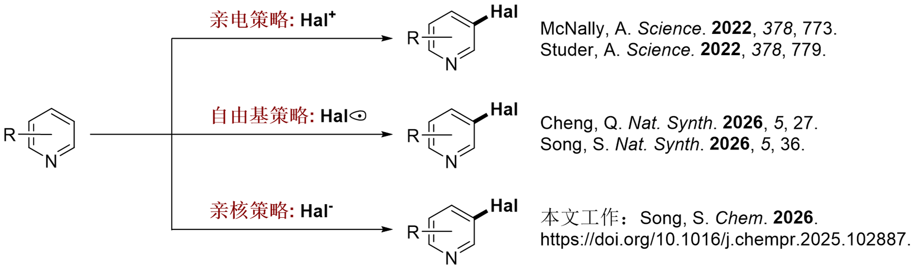 1afa61ce9925462daf1f3adc6eec1706.png 1afa61ce9925462daf1f3adc6eec1706.png