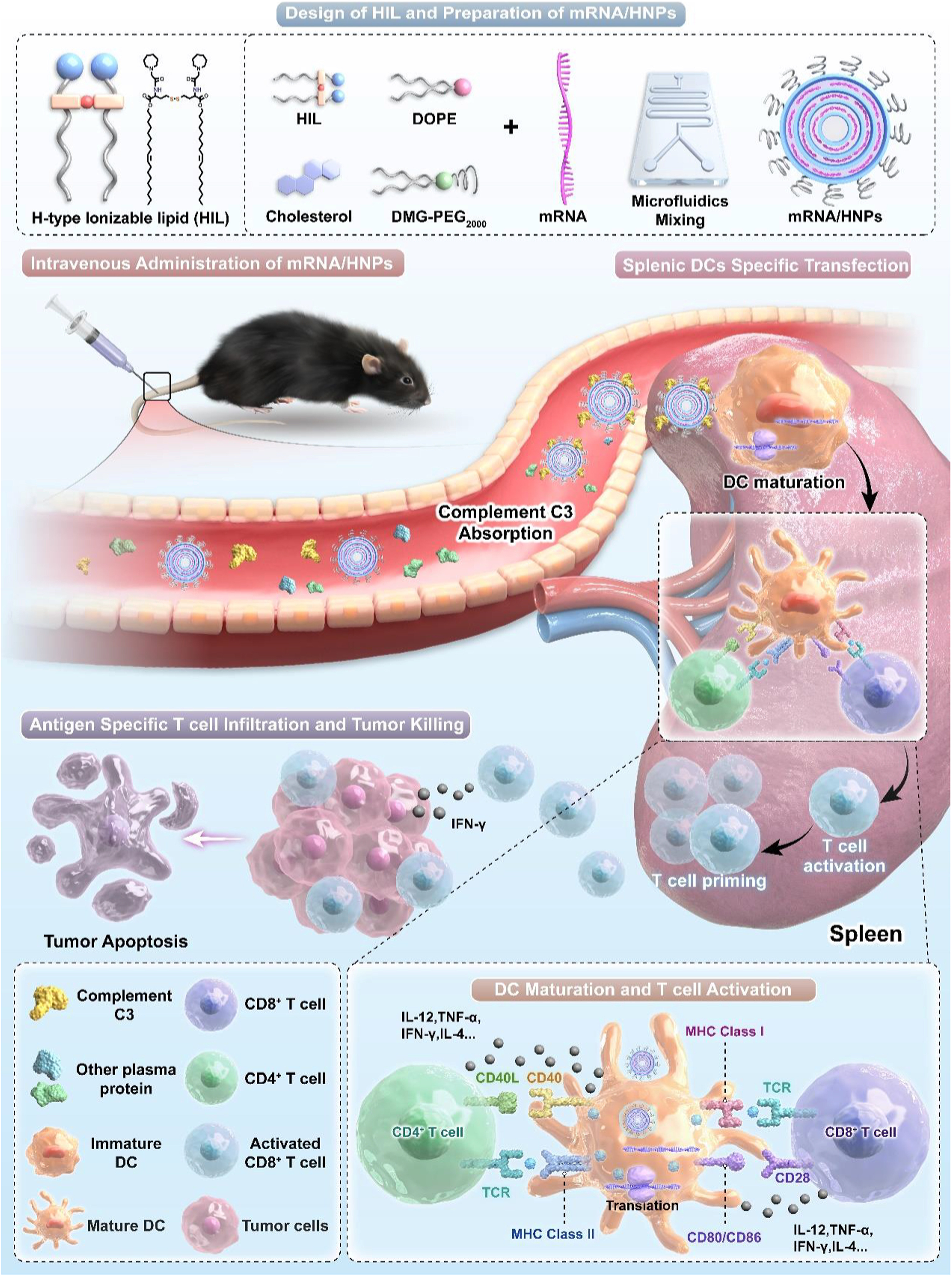 78a50340f2b64fcdb302a1c9bc024181.jpg 78a50340f2b64fcdb302a1c9bc024181.jpg