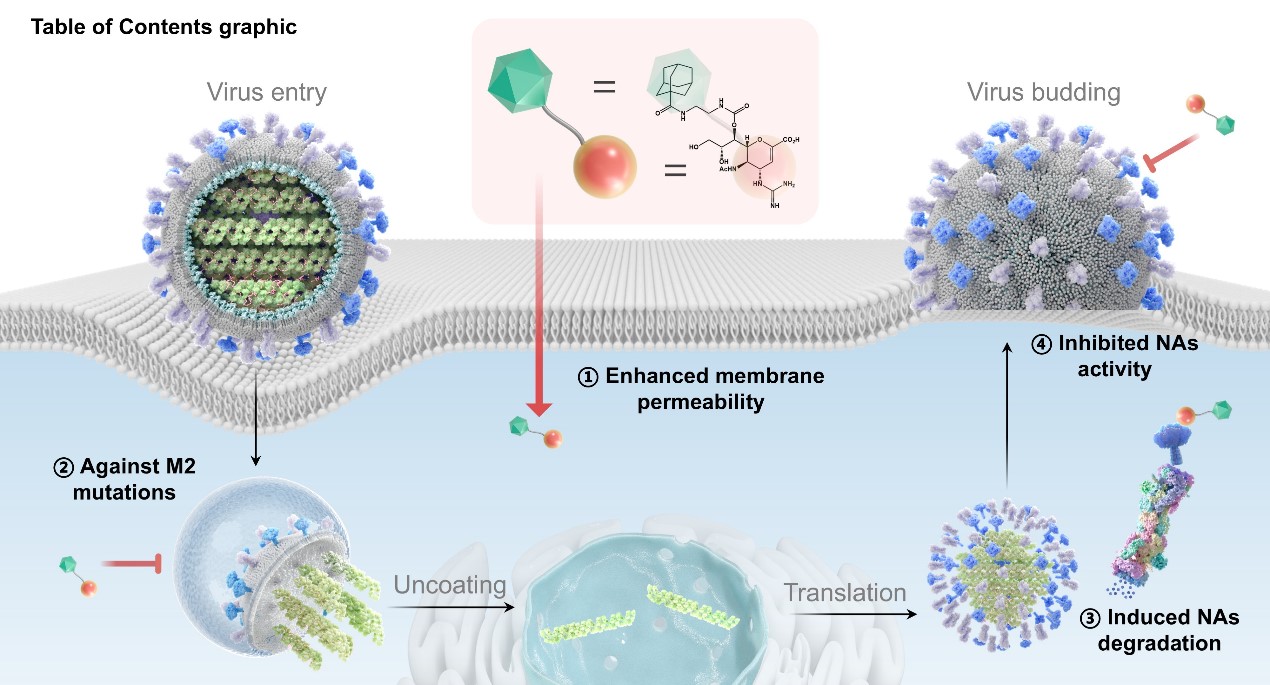 90601a226fa3457b8e7de998f4113c67.jpg 90601a226fa3457b8e7de998f4113c67.jpg