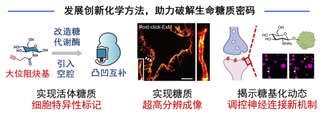 9bfc0162c48b4a44b0d5e0cd0f273bcd.png 9bfc0162c48b4a44b0d5e0cd0f273bcd.png