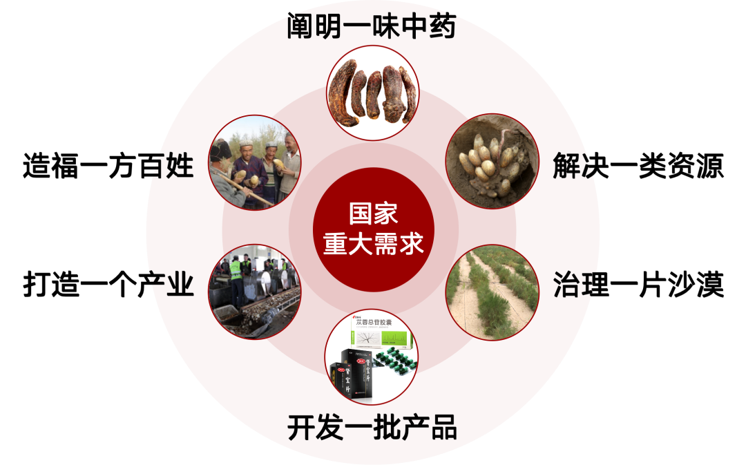 c736879e48d849fc9d2918605cb17414.png c736879e48d849fc9d2918605cb17414.png